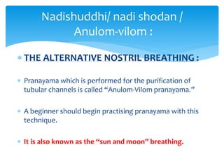  THE ALTERNATIVE NOSTRIL BREATHING :
 Pranayama which is performed for the purification of
tubular channels is called “Anulom-Vilom pranayama.”
 A beginner should begin practising pranayama with this
technique.
 It is also known as the “sun and moon” breathing.
Nadishuddhi/ nadi shodan /
Anulom-vilom :
 