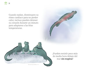 ¡Pueden resistir poco más
de media hora debajo del
mar sin respirar!
Cuando nadan, disminuyen su
ritmo cardiaco para no perder
calor, incluso pueden detener
su corazón durante un minuto
para adaptarse a las frías
temperaturas.
María José Salas González, jalisco
20
ML_3º_Preescolar.indb 20
ML_3º_Preescolar.indb 20 07/06/24 15:51
07/06/24 15:51
 