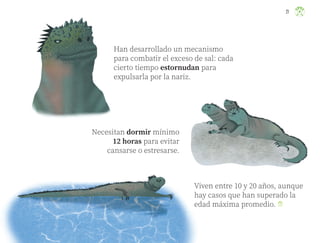 Han desarrollado un mecanismo
para combatir el exceso de sal: cada
cierto tiempo estornudan para
expulsarla por la nariz.
Necesitan dormir mínimo
12 horas para evitar
cansarse o estresarse.
Viven entre 10 y 20 años, aunque
hay casos que han superado la
edad máxima promedio.
21
ML_3º_Preescolar.indb 21
ML_3º_Preescolar.indb 21 07/06/24 15:51
07/06/24 15:51
 