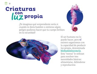 ¿Te imaginas qué sorprendente sería si
cuando te diera hambre o sintieras algún
peligro pudieras hacer que tu cuerpo brillara
en la oscuridad?
Criaturas
El ser humano no lo
puede hacer, pero sí
existen organismos con
la capacidad de producir
luz propia, denominada
bioluminiscencia.
Esta “rareza” lo utilizan
para resolver tres
necesidades básicas:
alimentarse, defenderse
y reproducirse.
luz
luz
con
propia
50
ML_3º_Preescolar.indb 50
ML_3º_Preescolar.indb 50 07/06/24 15:53
07/06/24 15:53
 