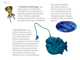 El calamar luciérnaga, que
mide escasos 7 centímetros
de longitud, está salpicado de
pequeños órganos productores
de luz. Utiliza su parpadeo
luminoso para atraer a los peces
pequeños de los que se alimenta.
El pez linterna es un
animal muy particular.
Tiene una boca enorme,
con varias hileras de
dientes puntiagudos,
ojos pequeños con vista limitada
y una protuberancia parecida a
un chichón que sobresale de su
cabeza, con la que genera luz.
Esta linterna propia le permite
alimentarse, comunicarse y
defenderse de sus depredadores.
En las profundidades
del océano, donde no
alcanza a pasar la luz del
sol, se estima que tres de
cada cuatro criaturas son
bioluminiscentes. Aunque
es difícil verlas, se conocen
algunas.
52
ML_3º_Preescolar.indb 52
ML_3º_Preescolar.indb 52 07/06/24 15:53
07/06/24 15:53
 
