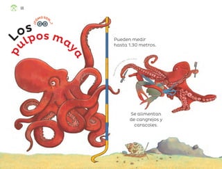 p
ulpos may
a
L
os
Pueden medir
hasta 1.30 metros.
Se alimentan
de cangrejos y
caracoles.
¿
C
Ó
MOSON
.
.
.
?
M
a
y
a
S
e
l
e
n
e
G
a
r
cía López, ciudad de méxico
68
ML_3º_Preescolar.indb 68
ML_3º_Preescolar.indb 68 07/06/24 15:54
07/06/24 15:54
 
