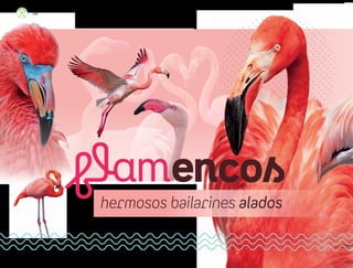 86
ML_3º_Preescolar.indb 86
ML_3º_Preescolar.indb 86 07/06/24 15:54
07/06/24 15:54
 