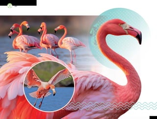 90
ML_3º_Preescolar.indb 90
ML_3º_Preescolar.indb 90 07/06/24 15:54
07/06/24 15:54
 