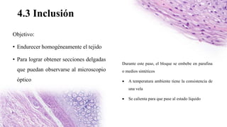 4.3 Inclusión
Objetivo:
• Endurecer homogéneamente el tejido
• Para lograr obtener secciones delgadas
que puedan observarse al microscopio
óptico
Durante este paso, el bloque se embebe en parafina
o medios sintéticos
 A temperatura ambiente tiene la consistencia de
una vela
 Se calienta para que pase al estado líquido
 