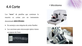 4.4 Corte
Los “tacos” de parafina que contienen la
muestra se cortan con un instrumento
denominado micrótomo
 Se asemeja a una máquina de cortar fiambre
 Las secciones para microscopio óptico tienen
un espesor de 5mm
• Micrótomo
 