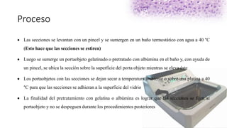 Proceso
 Las secciones se levantan con un pincel y se sumergen en un baño termostático con agua a 40 °C
(Esto hace que las secciones se estiren)
 Luego se sumerge un portaobjeto gelatinado o pretratado con albúmina en el baño y, con ayuda de
un pincel, se ubica la sección sobre la superficie del porta objeto mientras se eleva éste
 Los portaobjetos con las secciones se dejan secar a temperatura ambiente o sobre una platina a 40
°C para que las secciones se adhieran a la superficie del vidrio
 La finalidad del pretratamiento con gelatina o albúmina es lograr que las secciones se fijen al
portaobjeto y no se despeguen durante los procedimientos posteriores
 