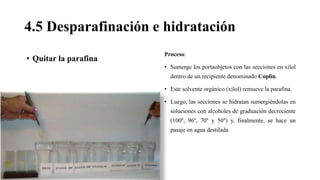 4.5 Desparafinación e hidratación
• Quitar la parafina
Proceso:
• Sumerge los portaobjetos con las secciones en xilol
dentro de un recipiente denominado Coplin.
• Este solvente orgánico (xilol) remueve la parafina.
• Luego, las secciones se hidratan sumergiéndolas en
soluciones con alcoholes de graduación decreciente
(100°, 96°, 70° y 50°) y, finalmente, se hace un
pasaje en agua destilada
 