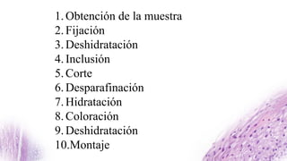1.Obtención de la muestra
2.Fijación
3.Deshidratación
4.Inclusión
5.Corte
6.Desparafinación
7.Hidratación
8.Coloración
9.Deshidratación
10.Montaje
 