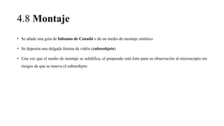 4.8 Montaje
• Se añade una gota de bálsamo de Canadá o de un medio de montaje sintético
• Se deposita una delgada lámina de vidrio (cubreobjeto)
• Una vez que el medio de montaje se solidifica, el preparado está listo para su observación al microscopio sin
riesgos de que se mueva el cubreobjeto
 