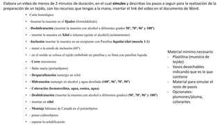 • Corte histológico
• -Insertar la muestra en el fijador (formaldehido)
• -Deshidratación (insertar la muestra con alcohol a diferentes grados 50°, 70°, 96° y 100°)
• - insertar la muestra en Xilol o tolueno (quitar el alcohol) (aclaramiento)
• -Inclusión insertar la muestra en un recipiente con Parafina líquida/xilol (mezcla 1:1)
• - meter a la estufa de inclusión (60°)
• - en el molde se coloca el tejido embebido en parafina y se llena con parafina liquida
• - Corte microtomo
• - Baño maría (portaobjetos)
• - Desparafinación sumergir en xilol
• - Hidratación sumergir en alcohol y agua destilada (100°, 96°, 70°, 50°)
• - Coloración (hematoxilina, agua, eosina, agua)
• - Deshidratación (insertar la muestra con alcohol a diferentes grados) (50°, 70°, 96° y 100°)
• - insertar en xilol
• - Montaje bálsamo de Canadá en el portaobjetos
• - poner cubreobjetos
• - esperar la solidificación
Elabora un video de menos de 2 minutos de duración, en el cual simules y describas los pasos a seguir para la realización de la
preparación de un tejido, con los recursos que tengas a la mano, insertar el link del video en el documento de Word.
Material mínimo necesario
- Plastilina (muestra de
tejido)
- Vasos desechables
indicando que es lo que
contiene
- Material para simular el
resto de pasos
- Opcionales:
plumones/pluma,
colorantes
 
