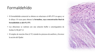 Formaldehído
• El formaldehído comercial se obtiene en soluciones al 40% P/V en agua y se
lo diluye 10 veces para obtener la formalina, cuya concentración final de
formaldehído es del 4% P/V.
• Las diluciones se realizan con una solución buffer o amortiguadora de
fosfato 0,1M pH 7,4
• El empleo de mezclas frías (4 °C) retarda los procesos de autólisis y favorece
la acción del fijador
 