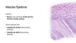 Mezclas fijadoras
Común:
• Bouin, que contiene ácido pícrico,
formol y ácido acético
Otras mezclas son:
• Líquido de Zenker (bicromato,
acético)
• Líquido de Helly (bicromato,
formol).
 