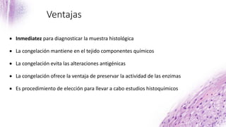 Ventajas
 Inmediatez para diagnosticar la muestra histológica
 La congelación mantiene en el tejido componentes químicos
 La congelación evita las alteraciones antigénicas
 La congelación ofrece la ventaja de preservar la actividad de las enzimas
 Es procedimiento de elección para llevar a cabo estudios histoquímicos
 