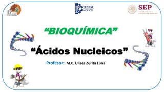 “BIOQUÍMICA”
“Ácidos Nucleicos”
Profesor: M.C. Ulises Zurita Luna
 