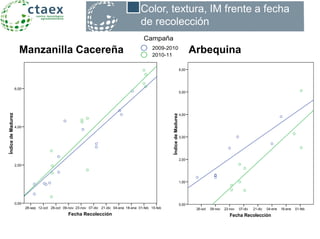 Manzanilla Cacereña Arbequina
Color, textura, IM frente a
variedad y fecha de recolección
Fecha Recolección
01-feb18-ene04-ene21-dic07-dic23-nov09-nov26-oct
ÍndicedeMadurez
6,00
5,00
4,00
3,00
2,00
1,00
0,00
Color, textura, IM frente a fecha
de recolección
2010-11
2009-2010
2010-11
2009-2010
Campaña
Sq r lineal = 0,787
Sq r lineal = 0,746
Fecha Recolección
15-feb01-feb18-ene04-ene21-dic07-dic23-nov09-nov26-oct12-oct28-sep
ÍndicedeMadurez
6,00
4,00
2,00
0,00
2010-11
2009-2010
2010-11
2009-2010
Campaña
Sq r lineal = 0,826
Sq r lineal = 0,828
 