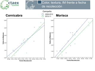 Cornicabra Morisca
Color, textura, IM frente a
variedad y fecha de recolección
Color, textura, IM frente a fecha
de recolección
Fecha Recolección
01-feb18-ene04-ene21-dic07-dic23-nov09-nov26-oct12-oct
ÍndicedeMadurez
6,00
5,00
4,00
3,00
2,00
1,00
0,00
Fecha Recolección
15-feb01-feb18-ene04-ene21-dic07-dic23-nov09-nov26-oct12-oct28-sep
ÍndicedeMadurez
5,00
4,00
3,00
2,00
1,00
0,00
2010-11
2009-2010
2010-11
2009-2010
Campaña
Sq r lineal = 0,755
Sq r lineal = 0,867
2010-11
2009-2010
2010-11
2009-2010
Campaña
Sq r lineal = 0,787
Sq r lineal = 0,746
 