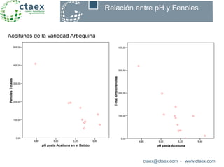 ctaex@ctaex.com - www.ctaex.com
Relación entre pH y Fenoles
pH pasta Aceituna en el Batido
5,405,205,004,80
FenolesTotales
500,00
400,00
300,00
200,00
100,00
0,00
Picual
Manzanilla de Sevilla
Arbequina
Morisca
Pico Limón
Verdial de Badajoz
Cornicabra
Manzanilla Cacereña
Variedad de Aceituna
Aceitunas de la variedad Arbequina
pH pasta Aceituna
5,405,205,004,80
TotalOrtodifenoles
400,00
300,00
200,00
100,00
0,00
Pic
Ma
Arb
Mo
Pic
Ver
Cor
Ma
Varied
 