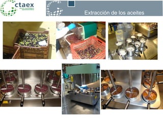 Extracción de los aceites
 