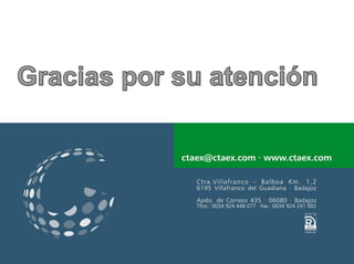 Estudio de las características singulares de los aceites extremeños