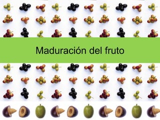 Maduración del fruto
 