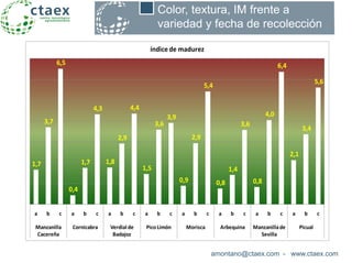 amontano@ctaex.com - www.ctaex.com
Color, textura, IM frente a
variedad y fecha de recolección
1,7
3,7
6,5
0,4
1,7
4,3
1,8
2,9
4,4
1,5
3,6
3,9
0,9
2,9
5,4
0,8
1,4
3,6
0,8
4,0
6,4
2,1
3,4
5,6
a b c a b c a b c a b c a b c a b c a b c a b c
Manzanilla
Cacereña
Cornicabra Verdial de
Badajoz
PicoLimón Morisca Arbequina Manzanillade
Sevilla
Picual
índice de madurez
 