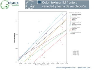 amontano@ctaex.com - www.ctaex.com
Color, textura, IM frente a
variedad y fecha de recolección
Fecha de Recolección
14-feb31-ene17-ene03-ene20-dic06-dic22-nov08-nov25-oct11-oct27-sep
ÍndicedeMadurez
6,00
4,00
2,00
0,00
Picual
Manzanilla de Sevilla
Arbequina
Morisca
Pico Limón
Verdial de Badajoz
Cornicabra
Manzanilla Cacereña
Picual
Manzanilla de Sevilla
Arbequina
Morisca
Pico Limón
Verdial de Badajoz
Cornicabra
Manzanilla Cacereña
Variedad de Aceituna
Sq r lineal = 0,828
Sq r lineal = 0,867
Sq r lineal = 0,953
Sq r lineal = 0,524
Sq r lineal = 0,935
Sq r lineal = 0,746
Sq r lineal = 0,827
…
 