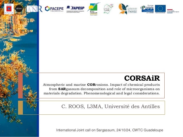 Corsair C Roos L3ma Universite Des Antilles