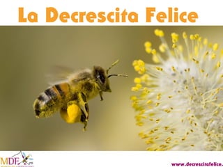La Decrescita Felice

www.decrescitafelice.

 