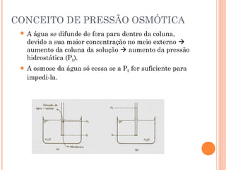 CONCEITO DE PRESSÃO OSMÓTICA
 A água se difunde de fora para dentro da coluna,
  devido a sua maior concentração no meio externo 
  aumento da coluna da solução  aumento da pressão
  hidrostática (PH).
 A osmose da água só cessa se a PH for suficiente para
  impedi-la.
 