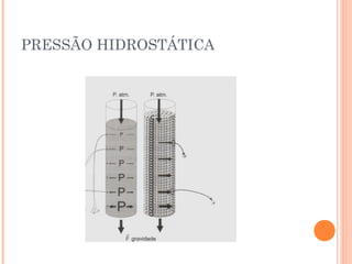 PRESSÃO HIDROSTÁTICA
 