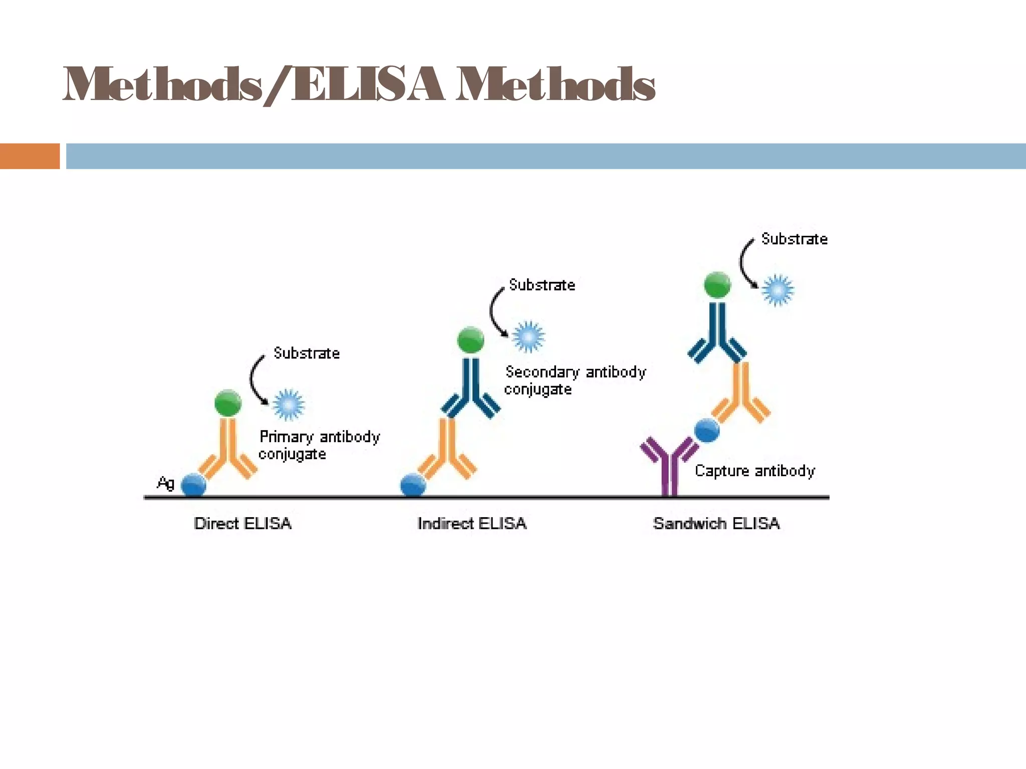 Methods/ELISA Methods
 