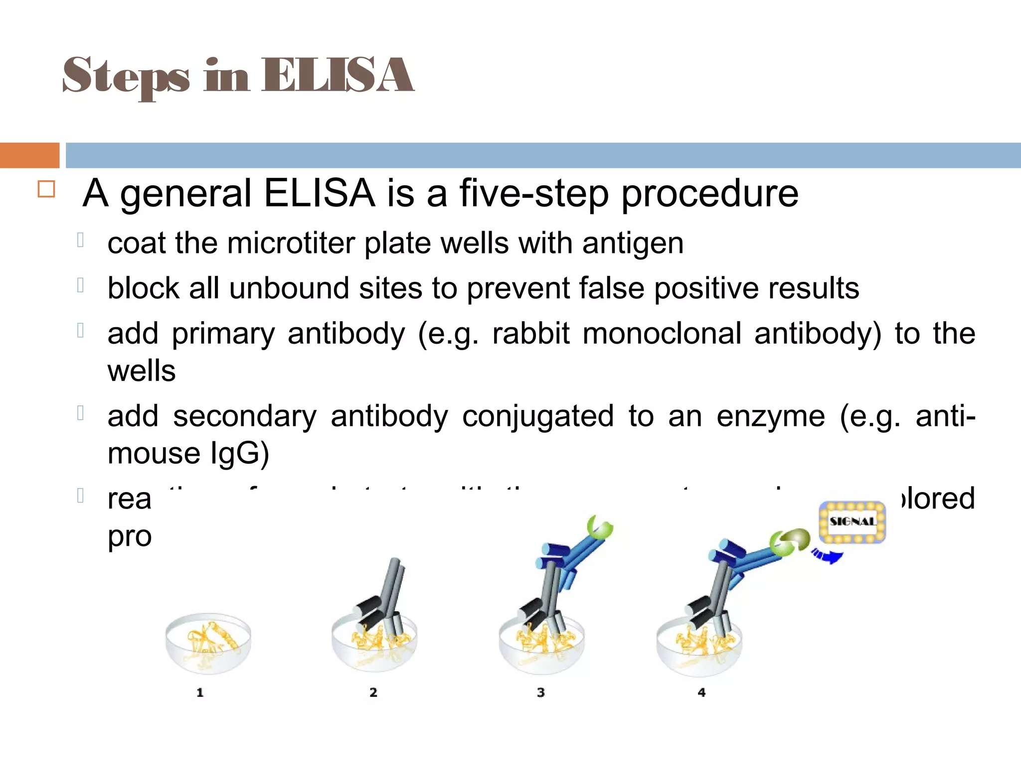 Steps in ELISA
 A general ELISA is a five-step procedure
 coat the microtiter plate wells with antigen
 block all unbound sites to prevent false positive results
 add primary antibody (e.g. rabbit monoclonal antibody) to the
wells
 add secondary antibody conjugated to an enzyme (e.g. anti-
mouse IgG)
 reaction of a substrate with the enzyme to produce a colored
product
 