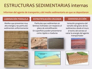 Comprehensive Overview of Earth's External Geological Processes and ...