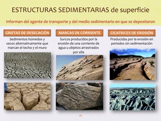 Comprehensive Overview of Earth's External Geological Processes and ...