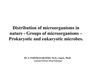 Distribution of microorganisms in
nature - Groups of microorganisms –
Prokaryotic and eukaryotic microbes.
Dr. S. PARTHASARATHY, M.Sc. (Agri)., Ph.D.
Assistant Professor (Plant Pathology)
 