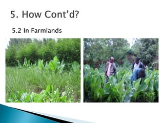 5.2 In Farmlands