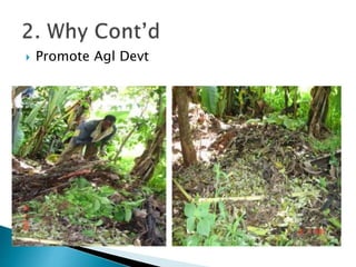  Promote Agl Devt