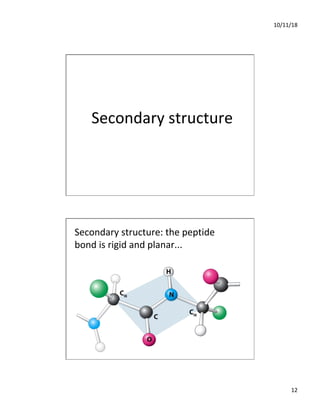 10/11/18
12
Secondary structure
Secondary structure: the peptide
bond is rigid and planar...
 