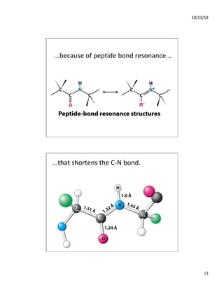 10/11/18
13
...because of peptide bond resonance...
...that shortens the C-N bond.
 