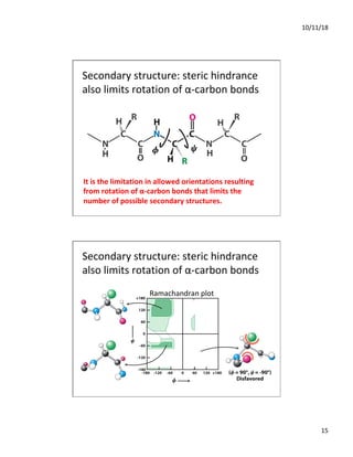 10/11/18
15
Secondary structure: steric hindrance
also limits rotation of α-carbon bonds
It is the limitation in allowed orientations resulting
from rotation of α-carbon bonds that limits the
number of possible secondary structures.
Secondary structure: steric hindrance
also limits rotation of α-carbon bonds
Ramachandran plot
 