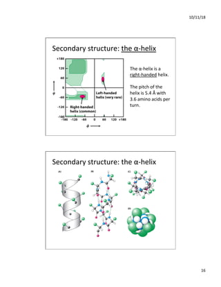 10/11/18
16
Secondary structure: the α-helix
The α-helix is a
right-handed helix.
The pitch of the
helix is 5.4 Å with
3.6 amino acids per
turn.
Secondary structure: the α-helix
 