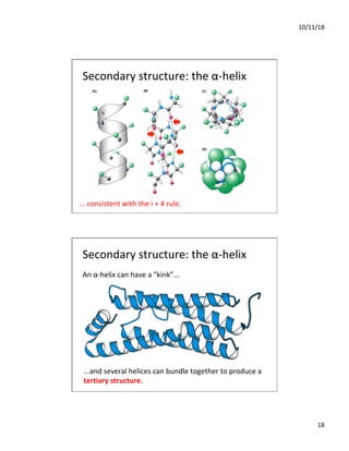 10/11/18
18
Secondary structure: the α-helix
... consistent with the i + 4 rule.
Secondary structure: the α-helix
An α-helix can have a “kink”...
...and several helices can bundle together to produce a
tertiary structure.
 