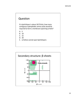 10/11/18
19
Question
If a lipid bilayer is about 30 Å thick, how many
contiguous hydrophobic amino acids would be
required to form a membrane-spanning α-helix?
A. 5
B. 10
C. 15
D. 20
E. α-helices cannot span lipid bilayers
Secondary structure: β-sheets
 