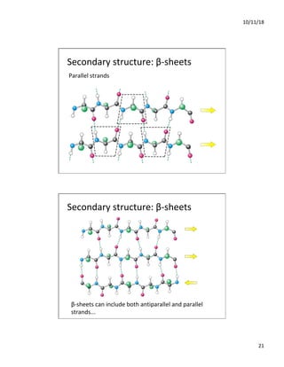 10/11/18
21
Secondary structure: β-sheets
Parallel strands
Secondary structure: β-sheets
β-sheets can include both antiparallel and parallel
strands...
 
