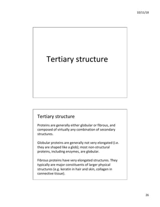 10/11/18
26
Tertiary structure
Tertiary structure
Proteins are generally either globular or fibrous, and
composed of virtually any combination of secondary
structures.
Globular proteins are generally not very elongated (i.e.
they are shaped like a glob); most non-structural
proteins, including enzymes, are globular.
Fibrous proteins have very elongated structures. They
typically are major constituents of larger physical
structures (e.g. keratin in hair and skin, collagen in
connective tissue).
 