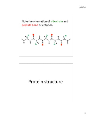 10/11/18
3
Note the alternation of side chain and
peptide bond orientation
Protein structure
 