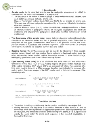 protein synthesis | PDF
