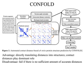 CONFOLD
Advantage: directly translating distances into structures; contact
distances play dominant role
Disadvantage: fail if there is no sufficient amount of accurate distances
 