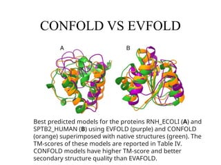 CONFOLD VS EVFOLD
Best predicted models for the proteins RNH_ECOLI (A) and
SPTB2_HUMAN (B) using EVFOLD (purple) and CONFOLD
(orange) superimposed with native structures (green). The
TM‐scores of these models are reported in Table IV.
CONFOLD models have higher TM‐score and better
secondary structure quality than EVAFOLD.
 